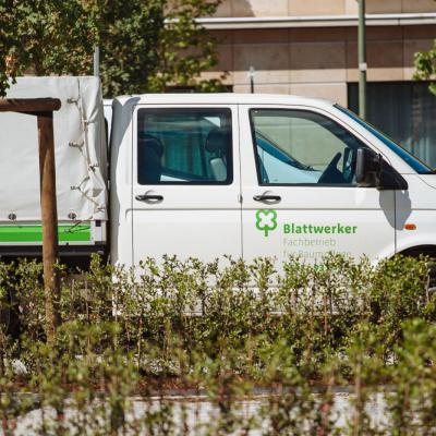 Baumpflanzung Lastrada Hotelwelt - Kassel - Auto